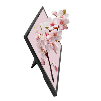 15.6 Inch IPS 1080P 60Hz FHD Full HD Gaming USB-C HDR Portable Monitor Screen Extender For Laptop